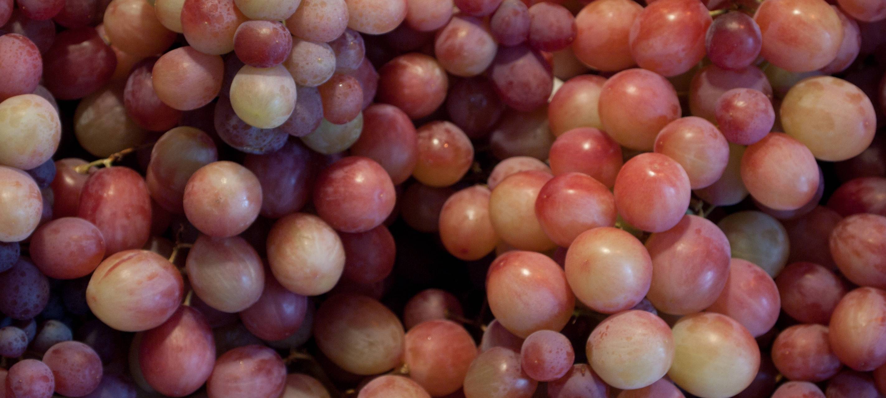 Bald Wein aus Herne