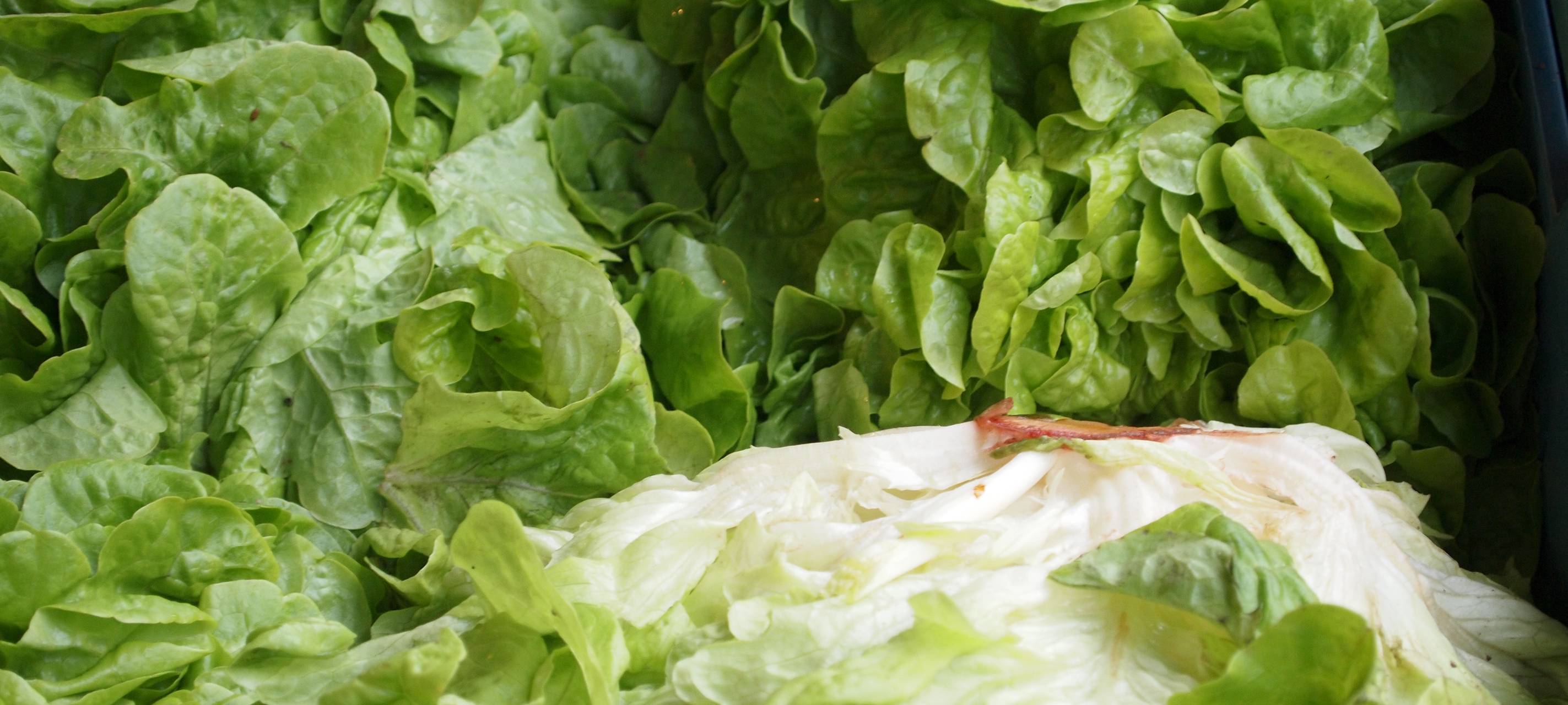 Kochen lernen oder Japanisch sprechen