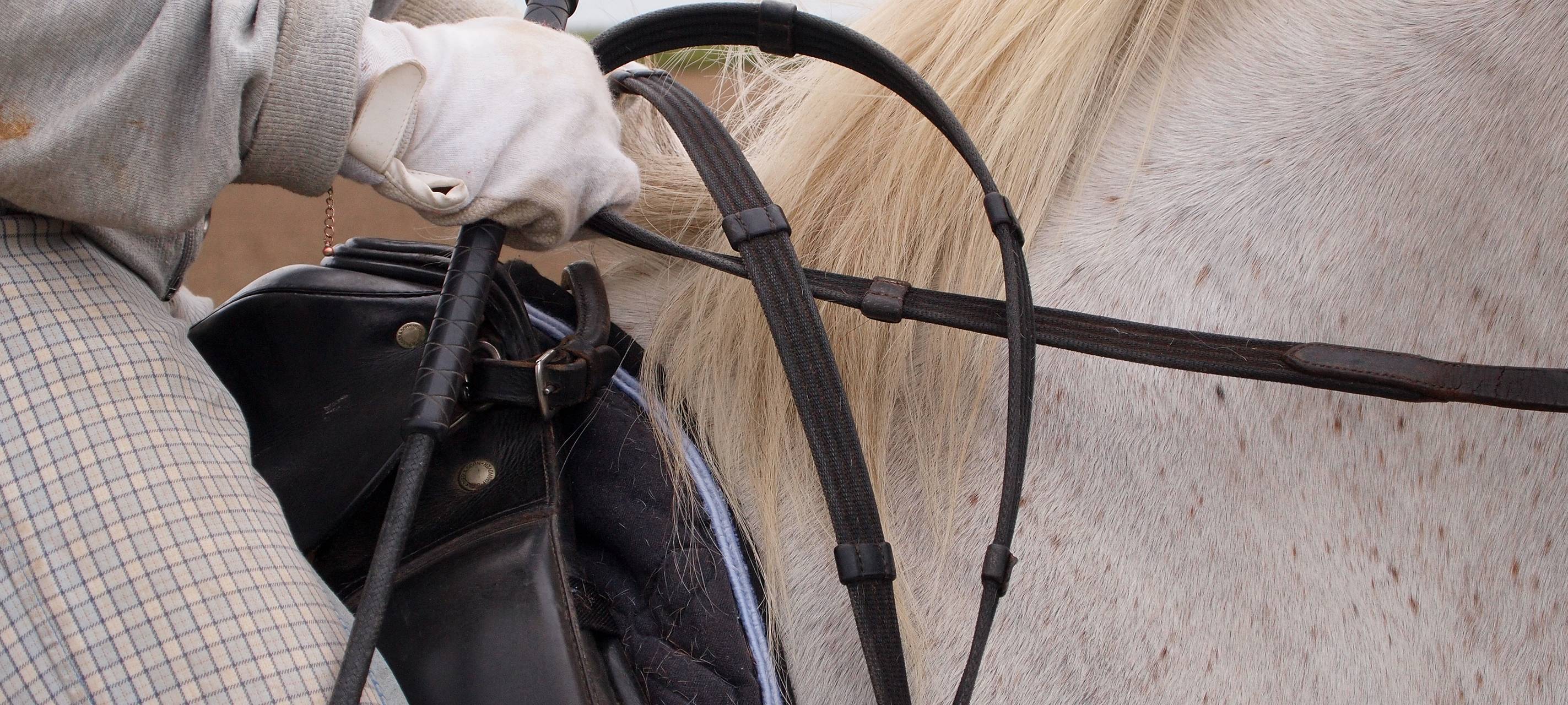 Reittherapie feiert 15-jähriges Bestehen