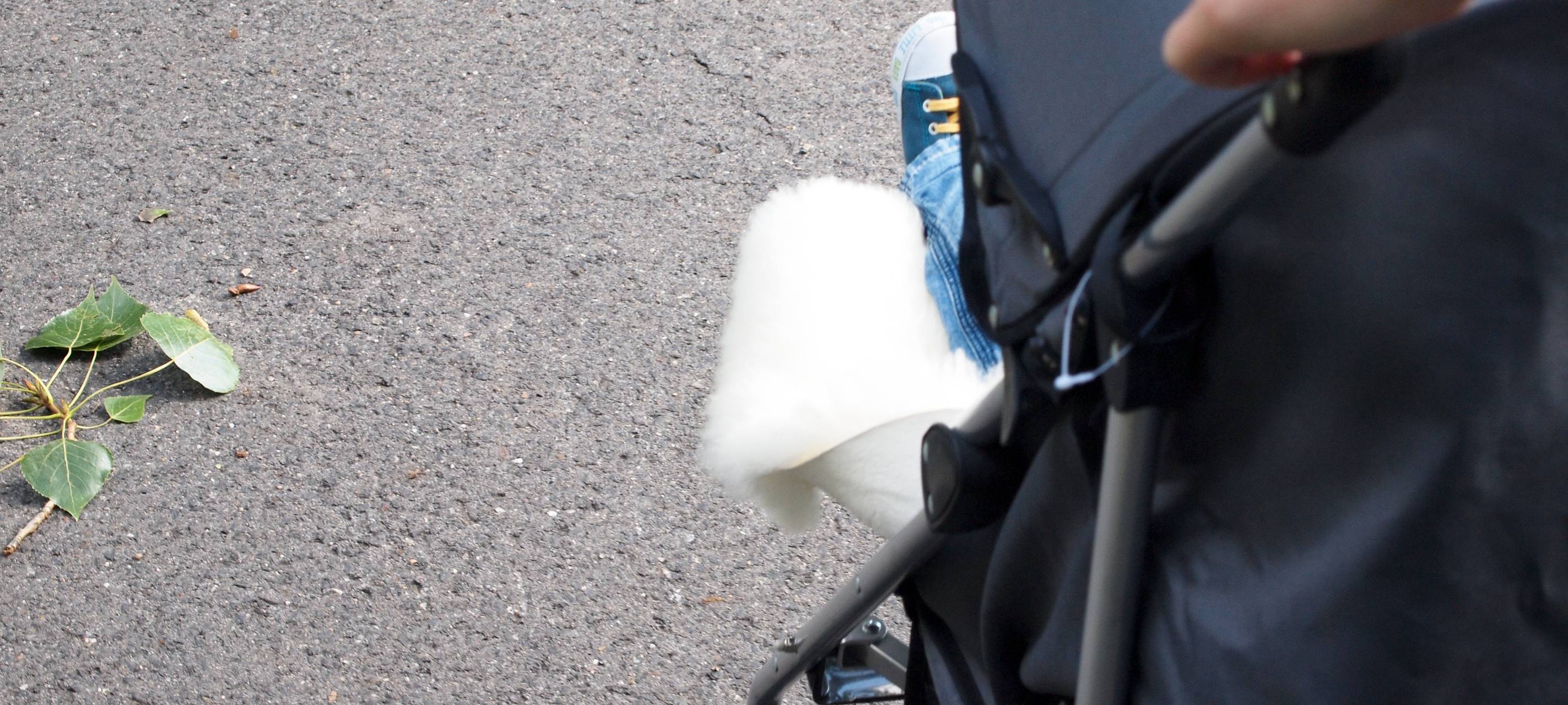 Herner Sozialdezernent für Kinder-Grundsicherung