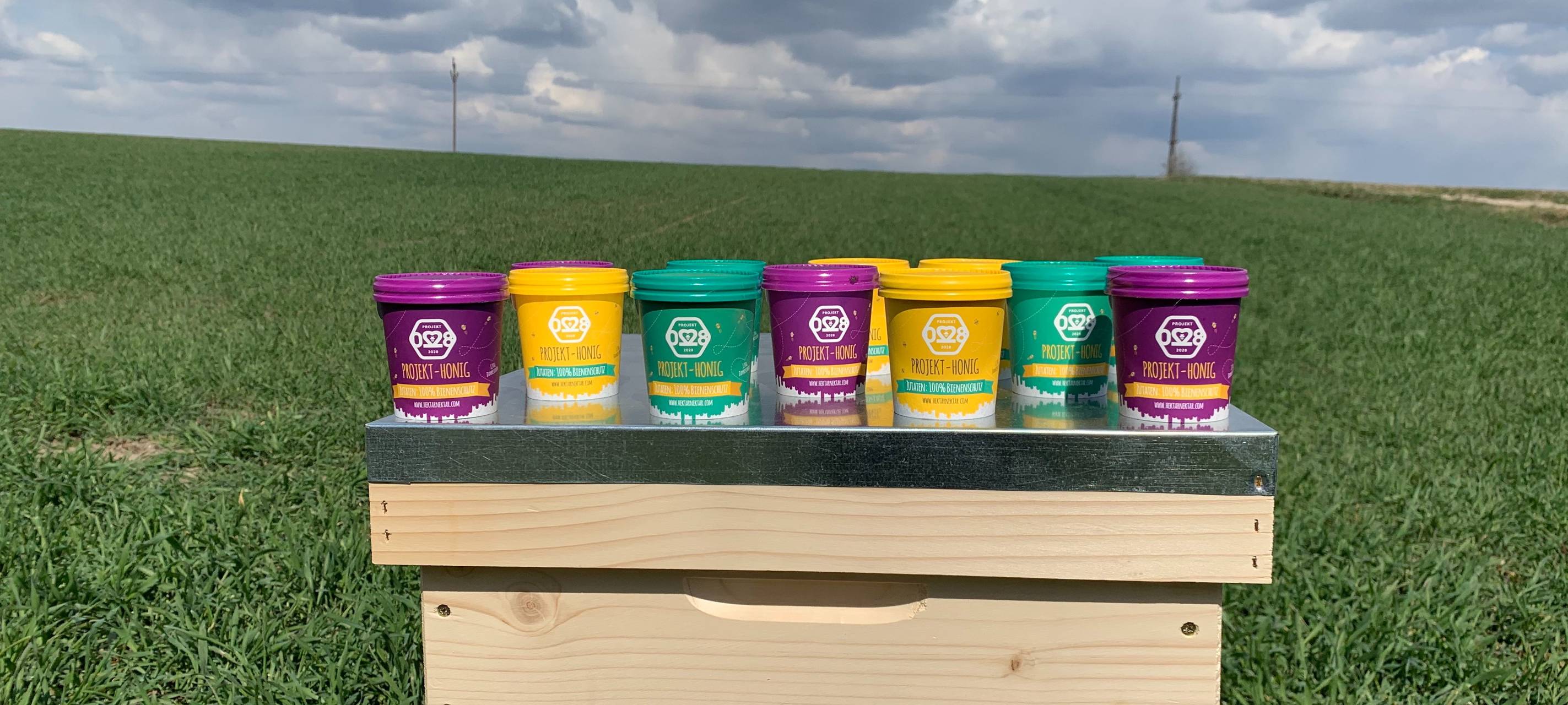 Gegen Insektensterben: Start Up vermittelt Bienen