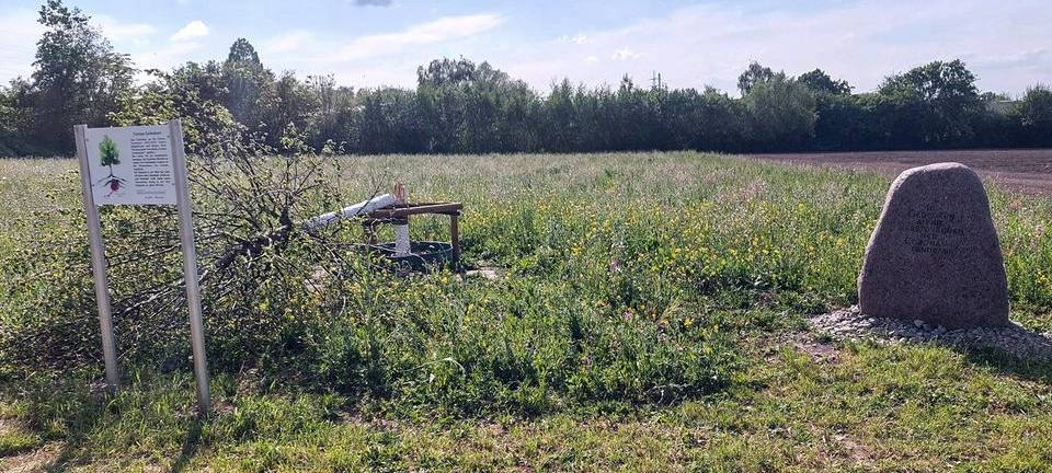 Corona-Linde endgültig kaputt