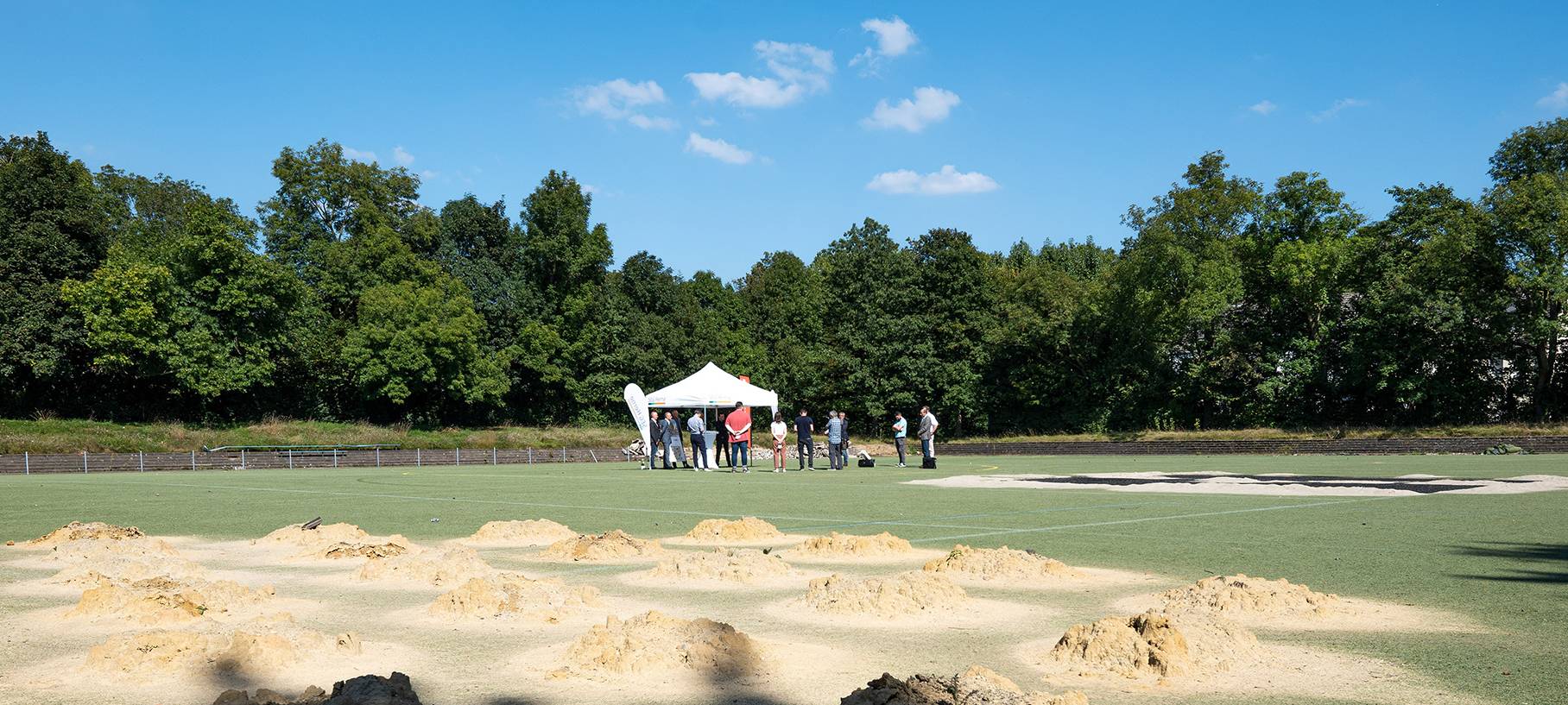 Baumfällungen in Eickel