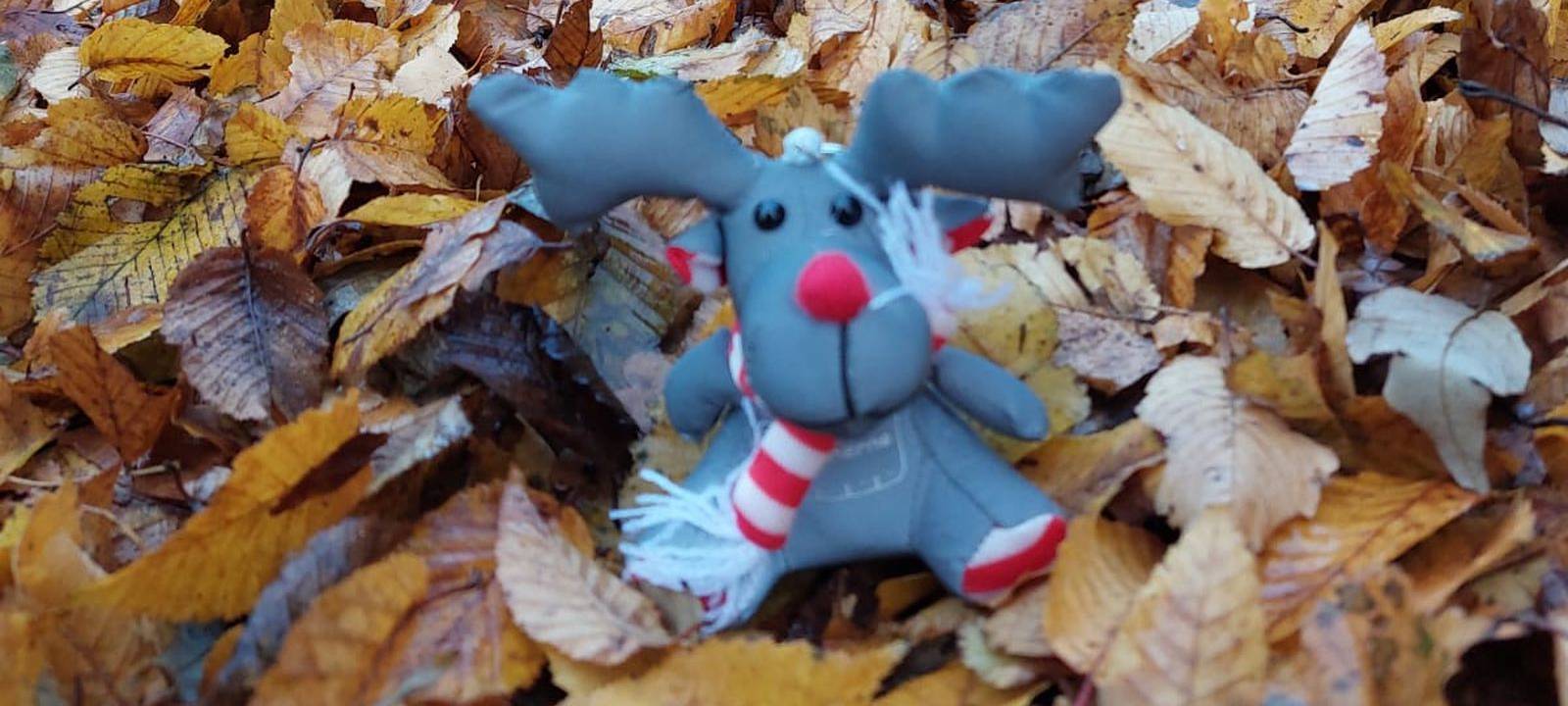 Das war unsere Verkehrssicherheitsaktion 2022