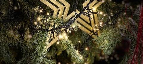 Weihnachtsbäume für Bedürftige