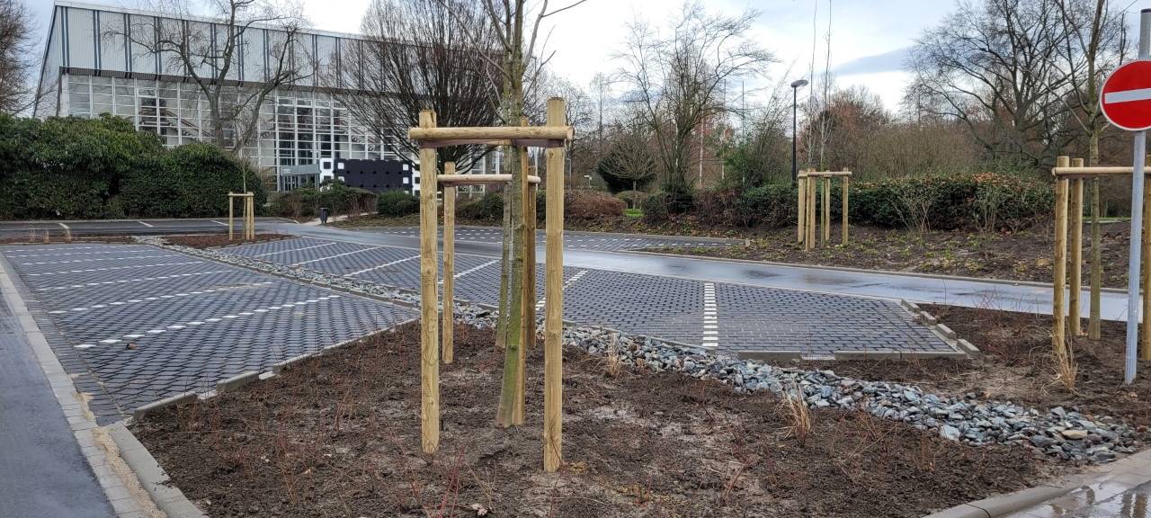 Erster Klimaparkplatz eröffnet