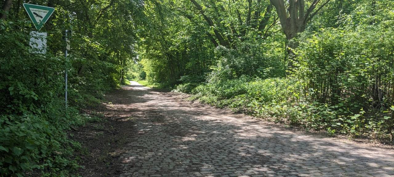 Neuer Fußweg für Constantiner Wäldchen