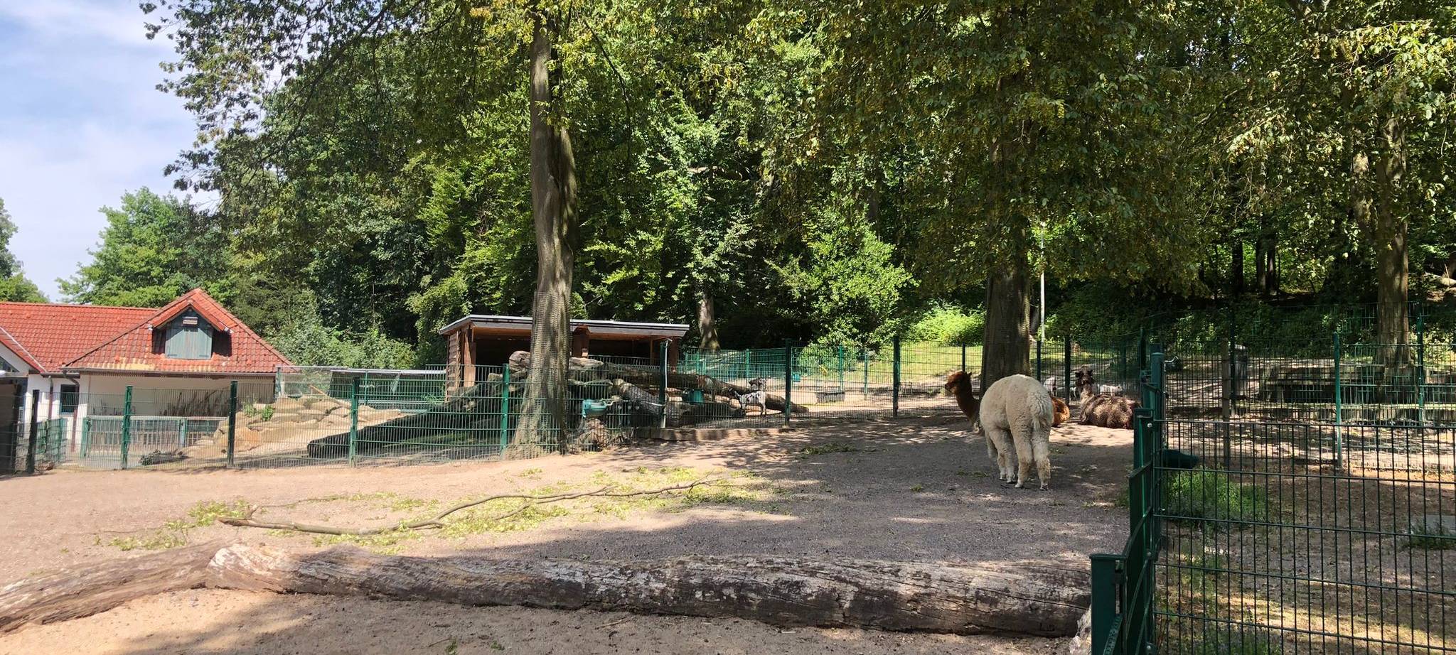 Der Streichelzoo im Revierpark Gysenberg bleibt vorerst geschlossen.