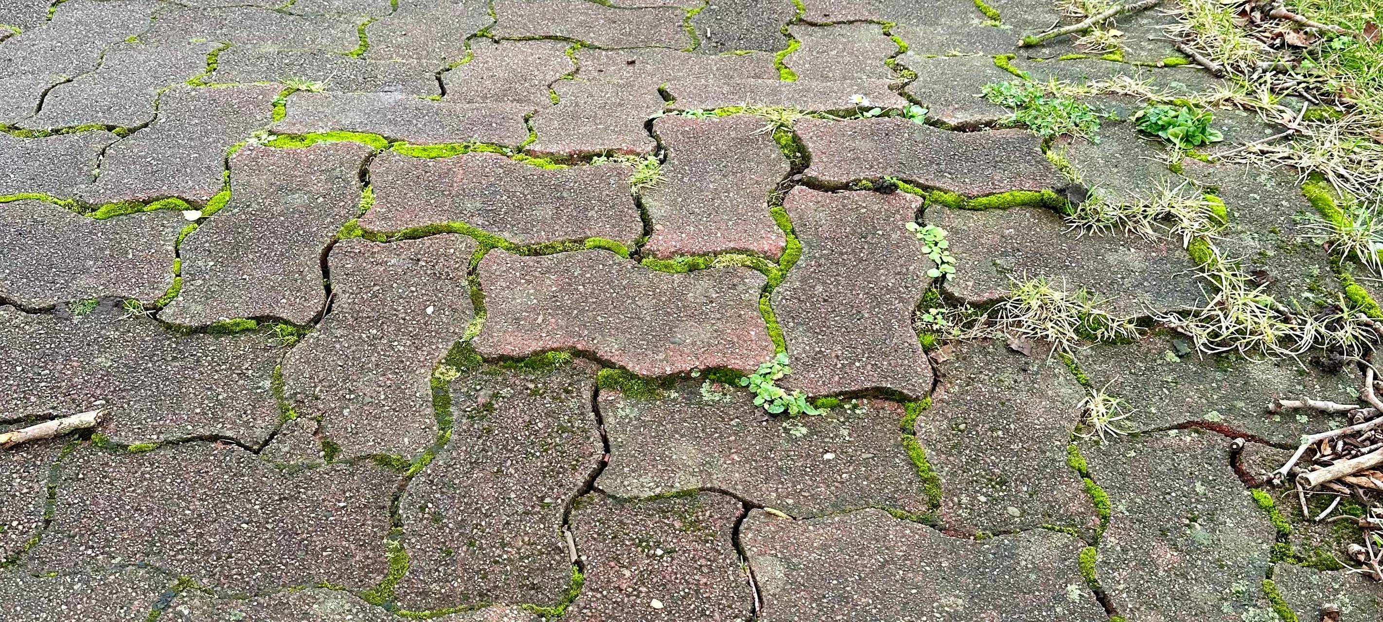 Schäden an einem Radweg
