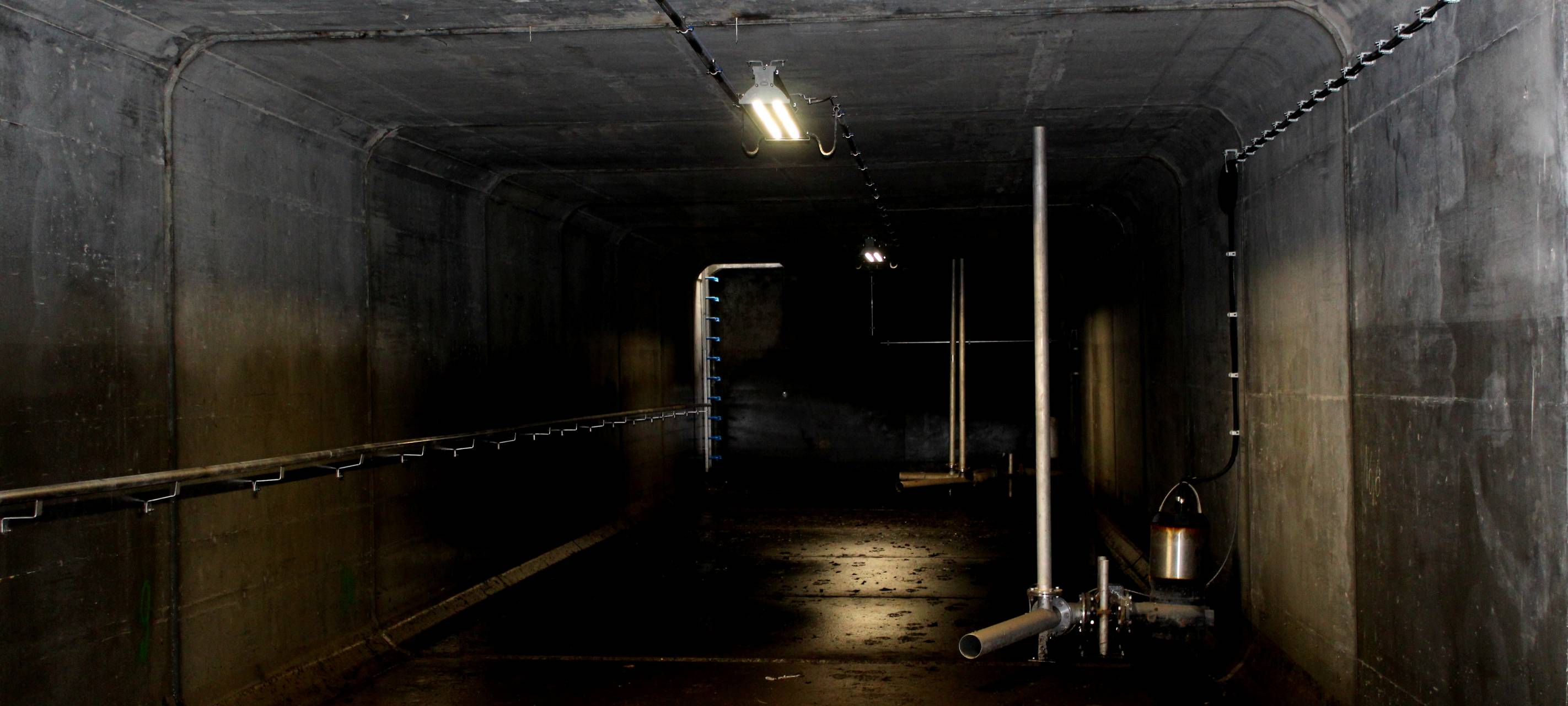 Die Radio Herne Foto-Safari: ungewöhnliche Orte in unserer Stadt