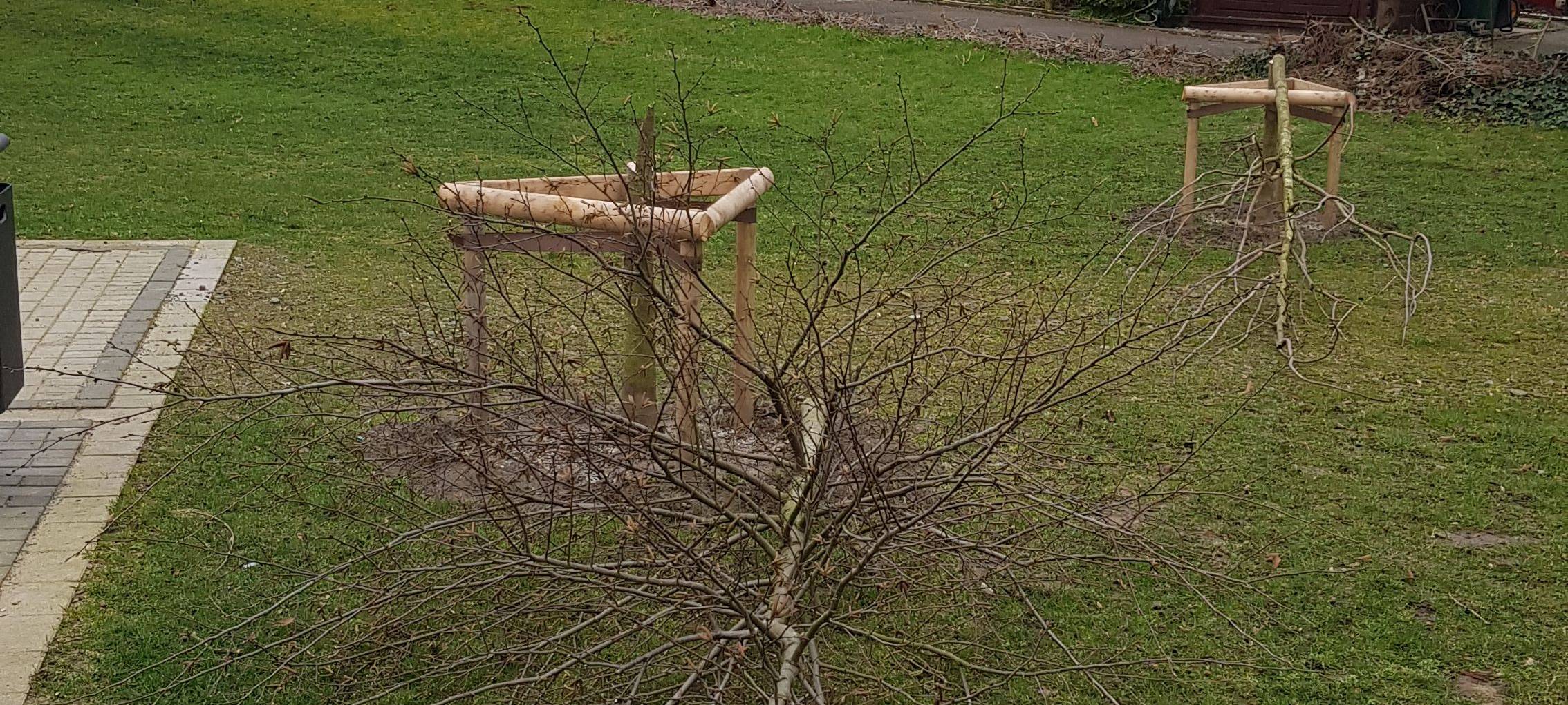 Stadt stellt Strafanzeige