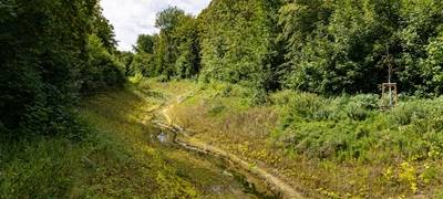 Die Emschergenossenschaft wird 125