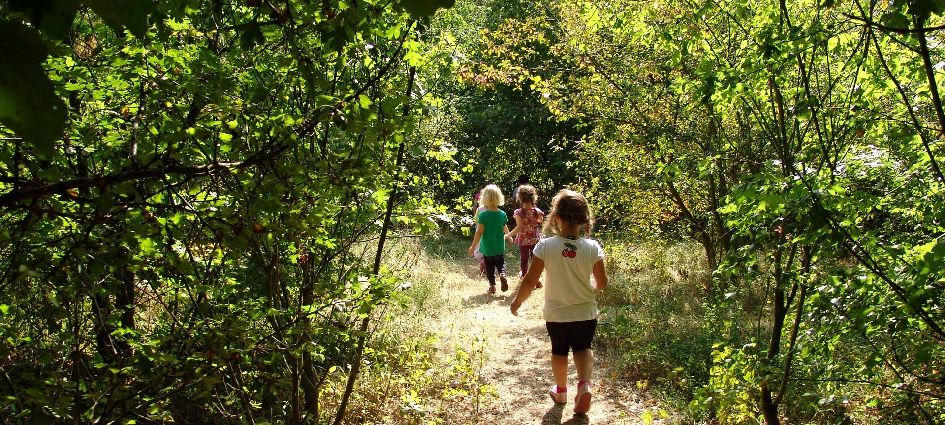 Wildnis für Kinder startet