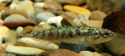 © Bernd Stemmer/EGLV