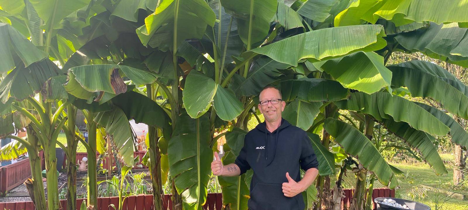 Bananen in Herne