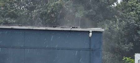 Insektizid löst Chemieeinsatz aus