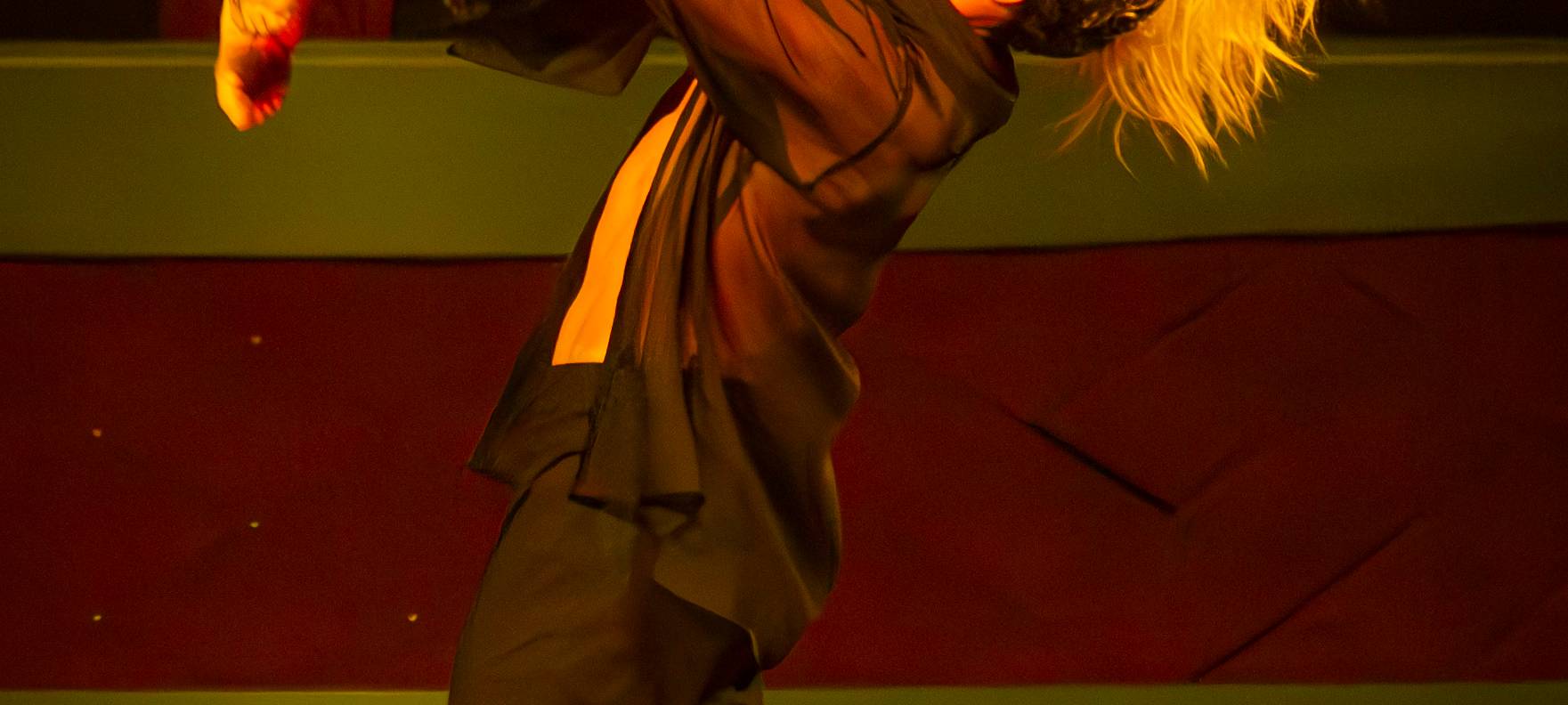 Let's Dance - Die Live Tour 2025