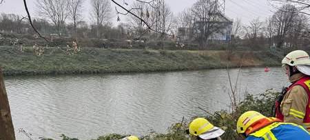 Hund am Kanal gerettet