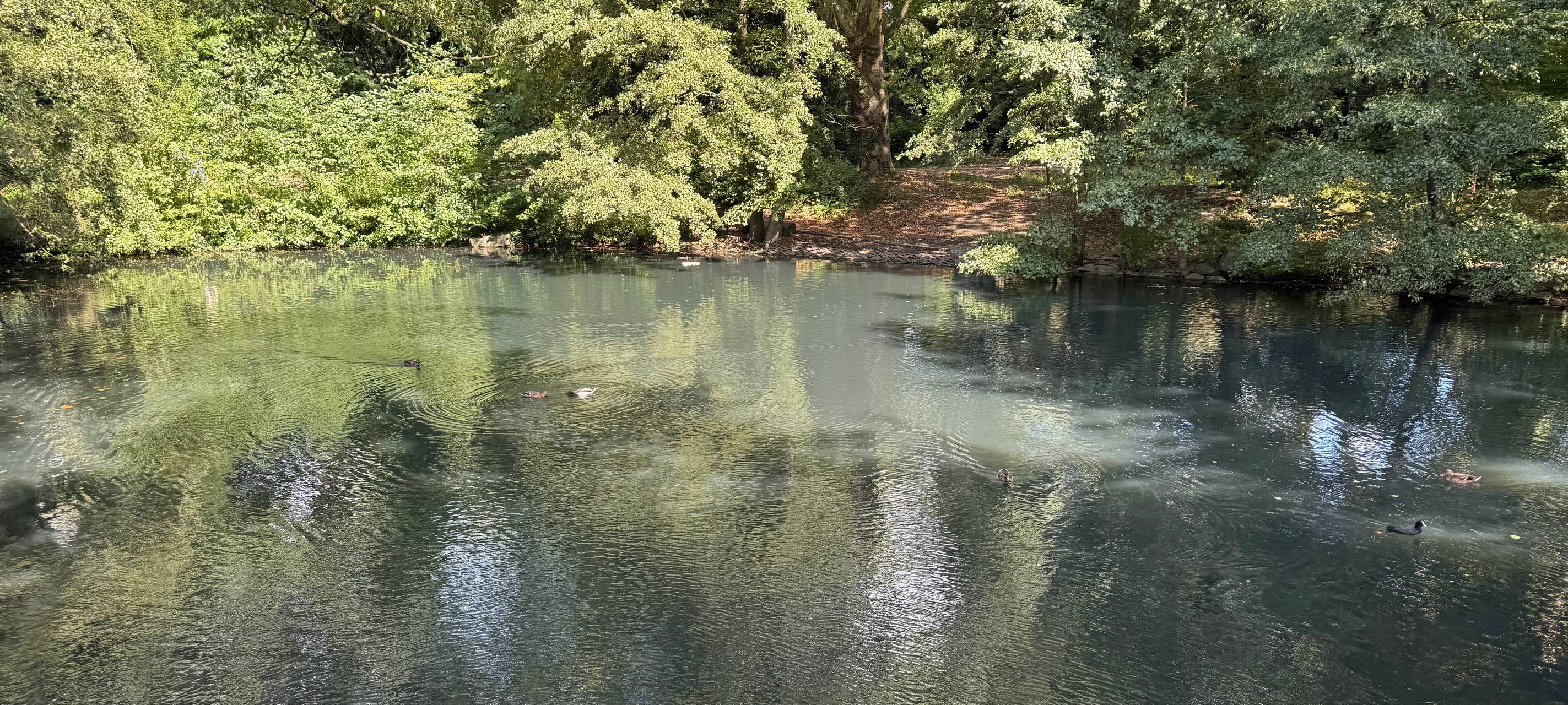 Für ein grünes Wanne-Mitte