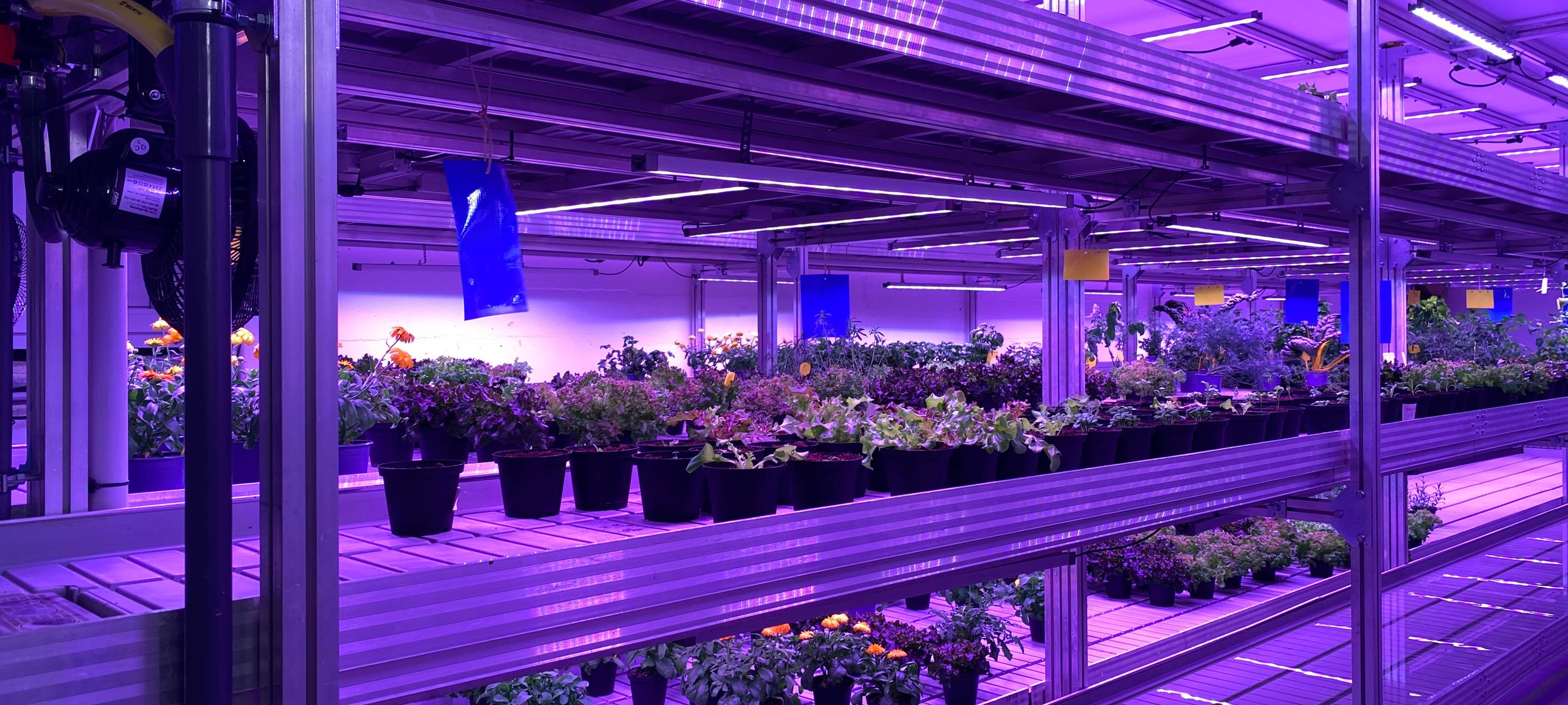 Indoorfarm versorgt Bewohner im Bunker