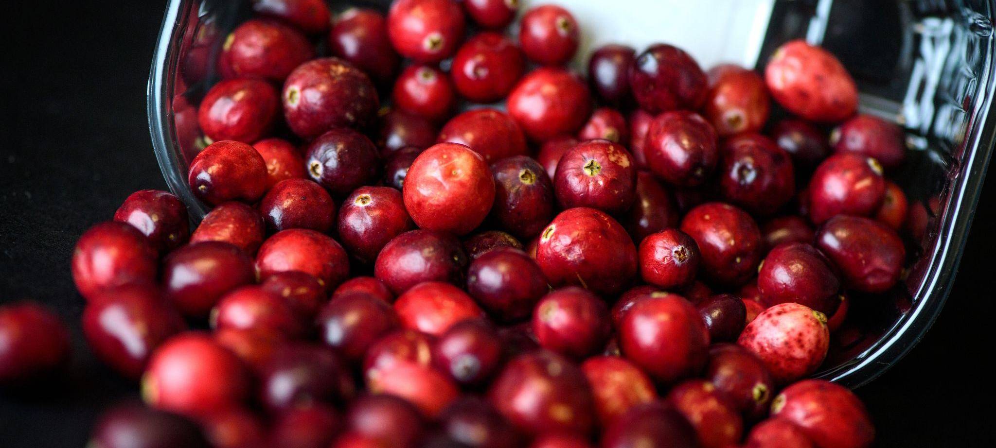 Cranberrys liegen in einer Schale
