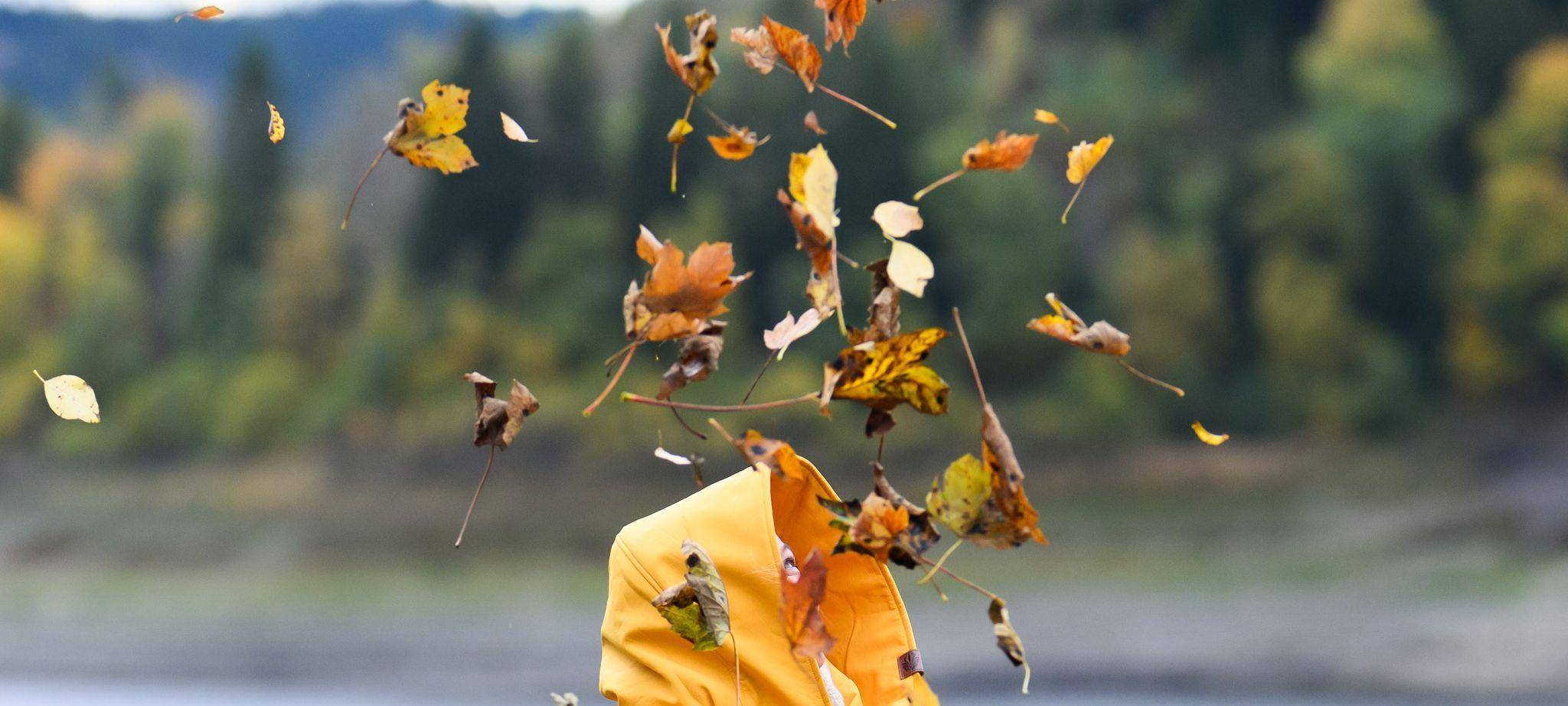 Sturmtief „Joshua“ - Niedersachsen