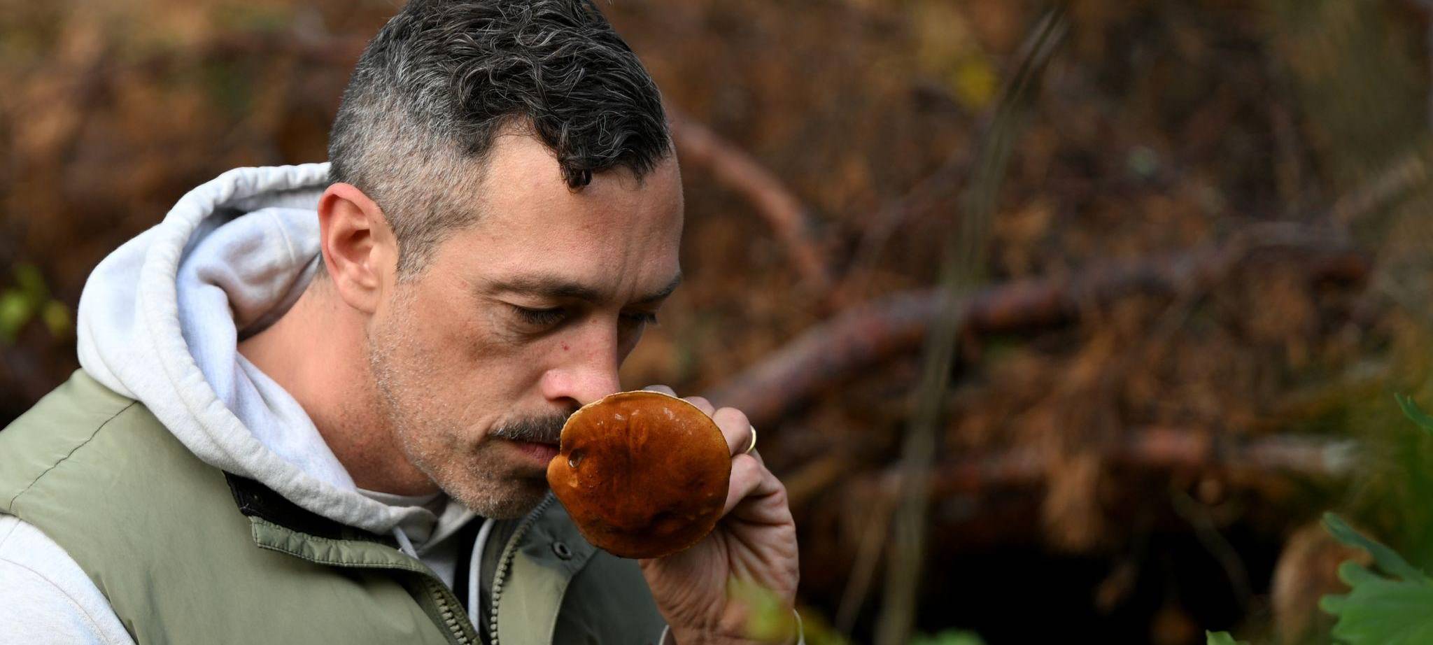 Mit einem Pilz-Influencer in den Pilzen