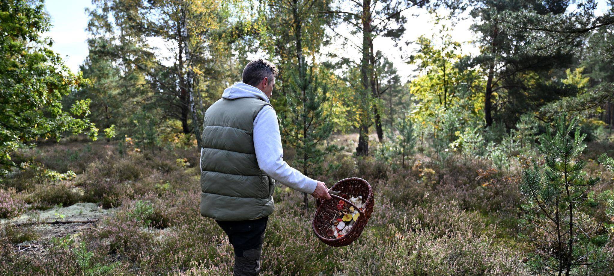 Mit einem Pilz-Influencer in den Pilzen