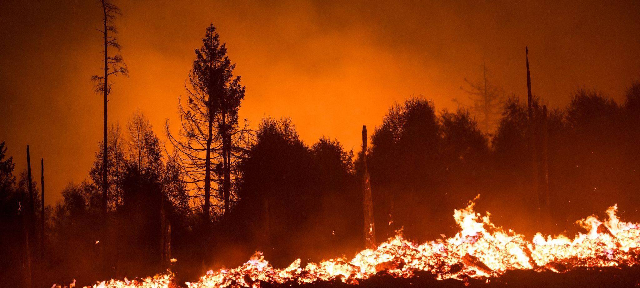 Waldbrand in Thüringen