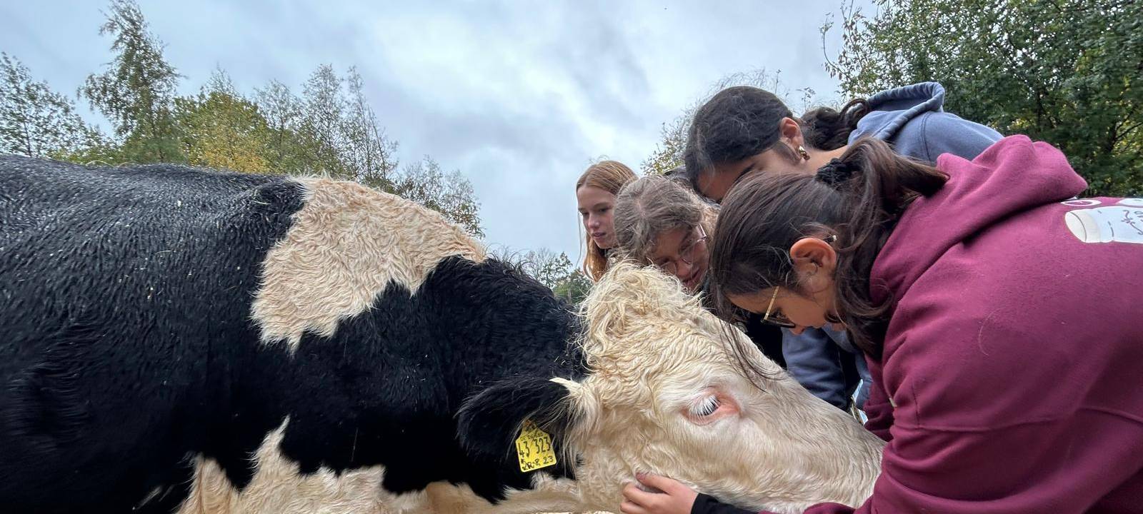 Tierschutz näher kennenlernen