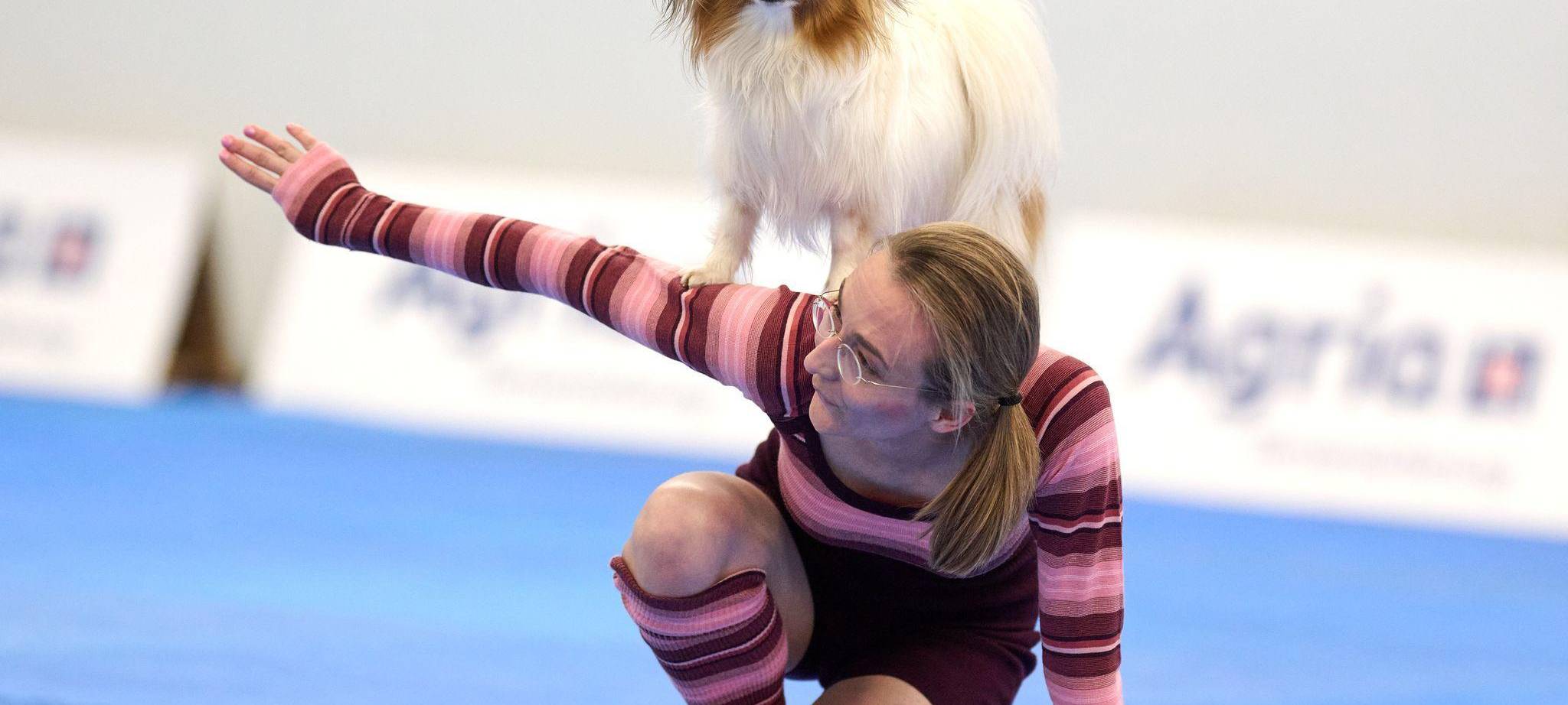 Meisterschaft im Dog Dancing auf Messe «Hund & Pferd»