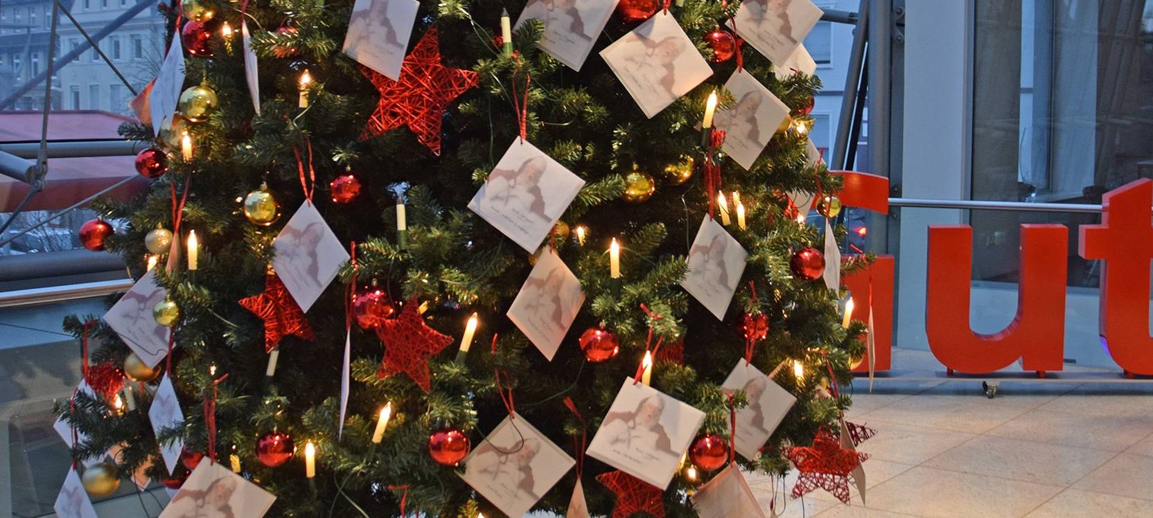 Kinderwünsche erfüllen