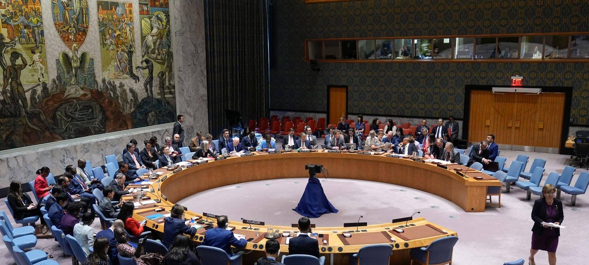 Der Weltsicherheitsrat in New York tagt