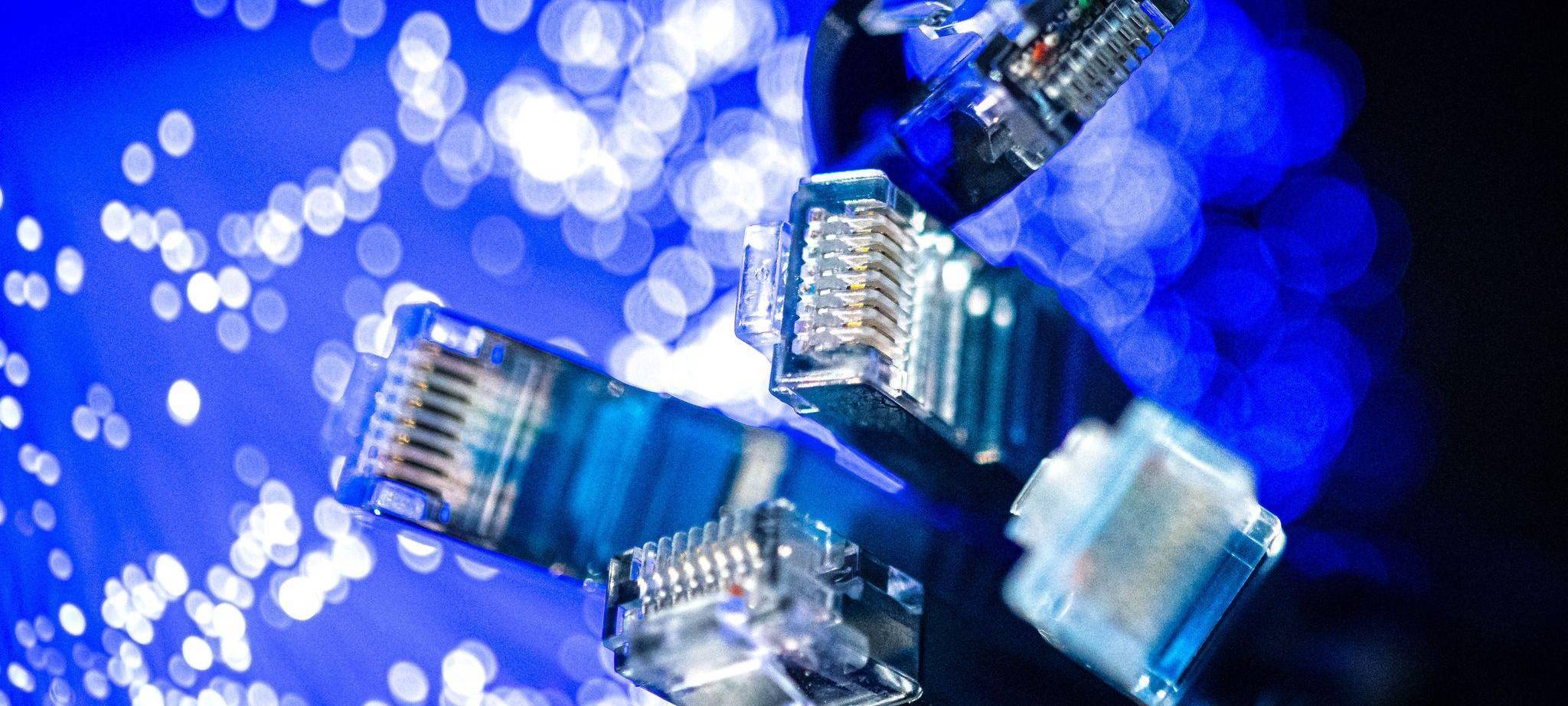 Netzwerkkabel (LAN-Kabel) liegen auf einem Tisch