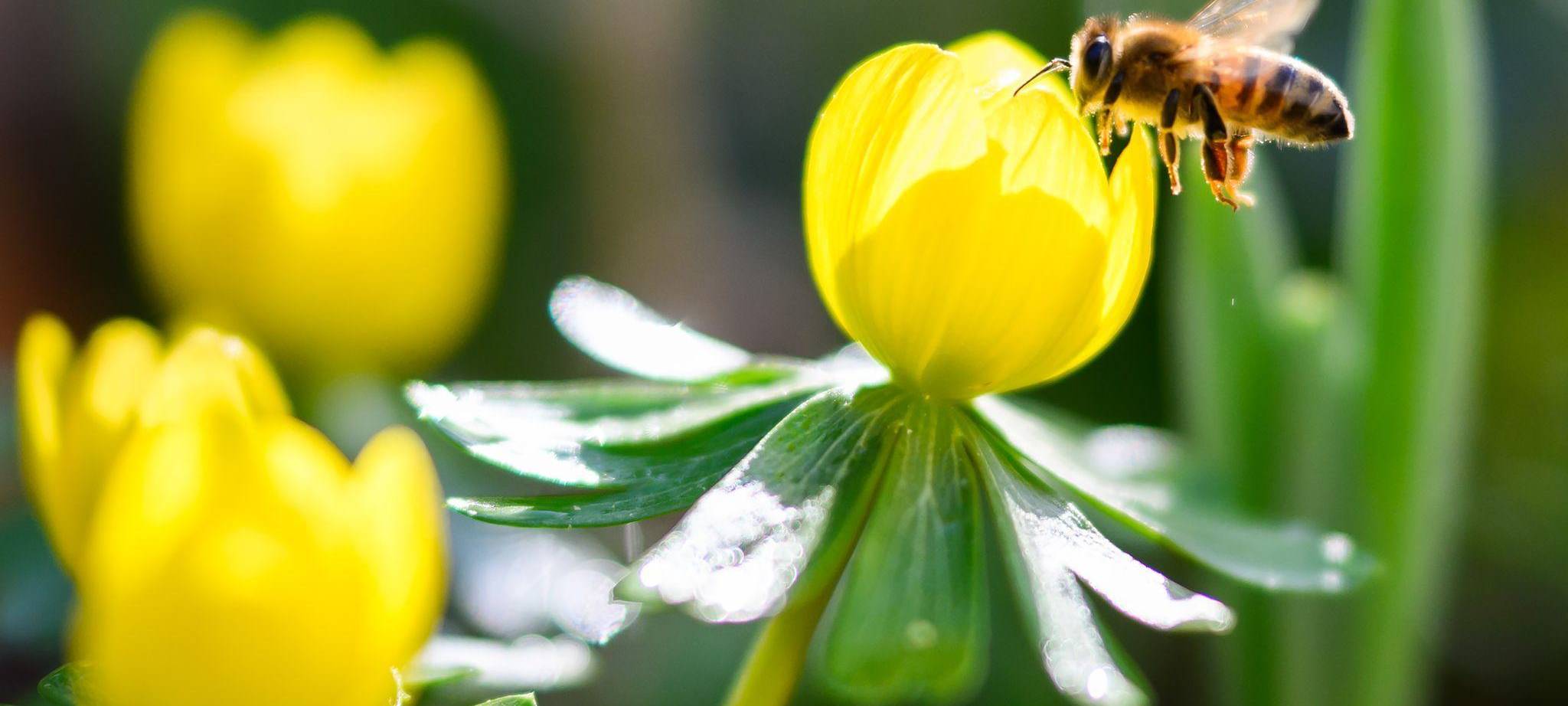 Frühlingshaftes Wetter in Niedersachsen