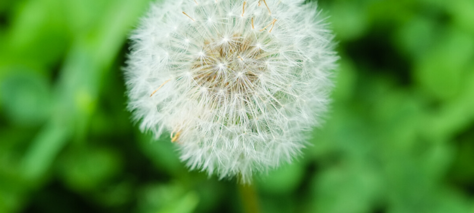 Kreative Beschäftigungstipps